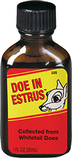 wildlife research center - Doe In Estrus -  for sale