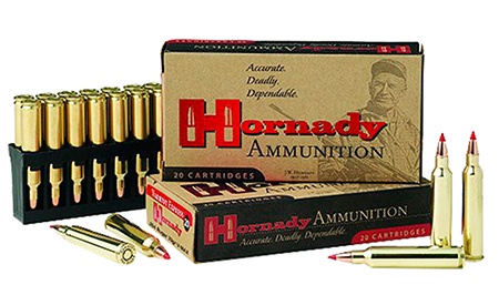 Hornady - Superformance Varmint - .204 Ruger for sale