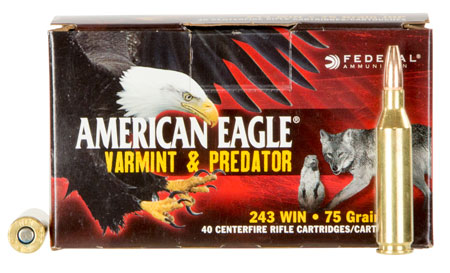Federal - American Eagle - .243 Win for sale