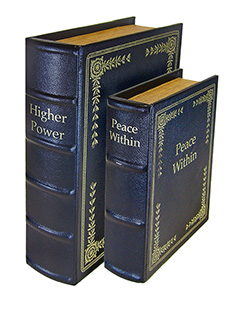 PS DIVERSION BOOKS - SET OF 2 - for sale