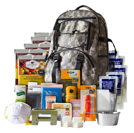 wise foods inc - 5-Day Survivial -  for sale