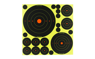 birchwood casey (gsm) - Shoot-N-C -  for sale