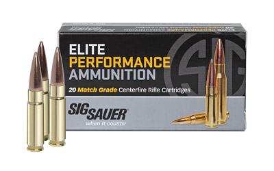 Sig Sauer - Marksman - .300 AAC Blackout for sale