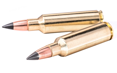 Winchester - Deer Season - .450 Bushmaster for sale